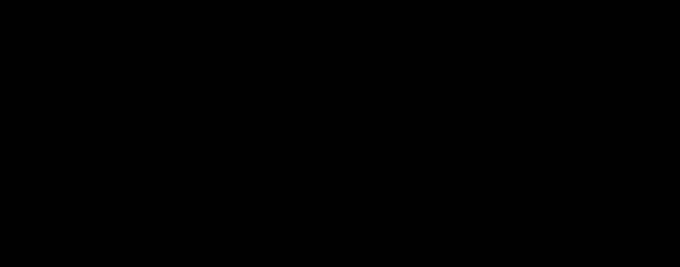 University Partner 4
